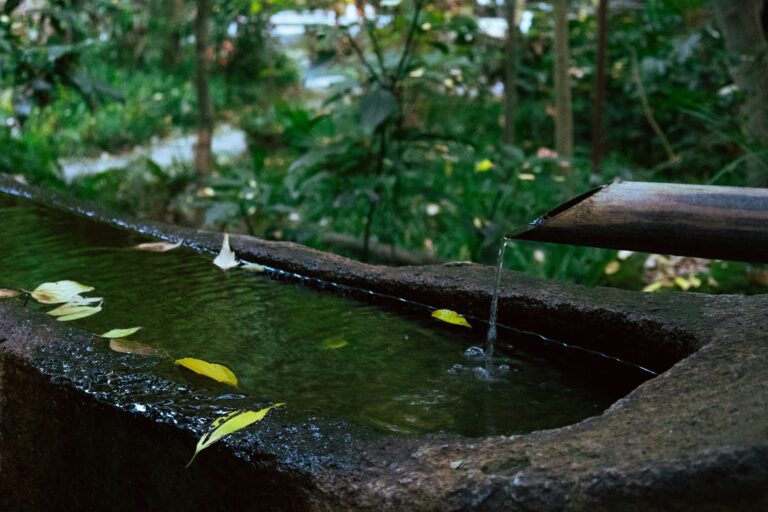 A Well-Watered Garden