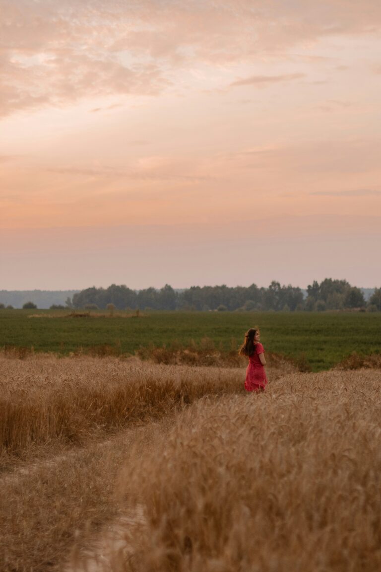 Harvest Is Coming